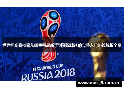 世界杯观赛指南从哪里看起新手到资深球迷的完整入门路线解析全景